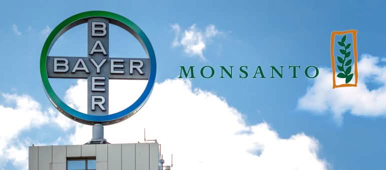 Le Roundup de Monsanto contient du glyphosate, une substante manifestement toxique pour l'être humain Bayer Monsanto