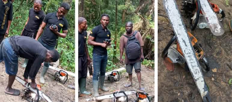 Des éco-gardes confisquent des tronçonneuses