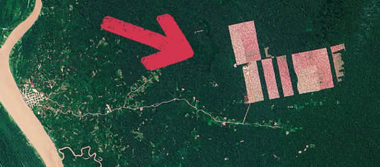 Image satellite attestant la déforestation près de Tamshiaycu au Pérou