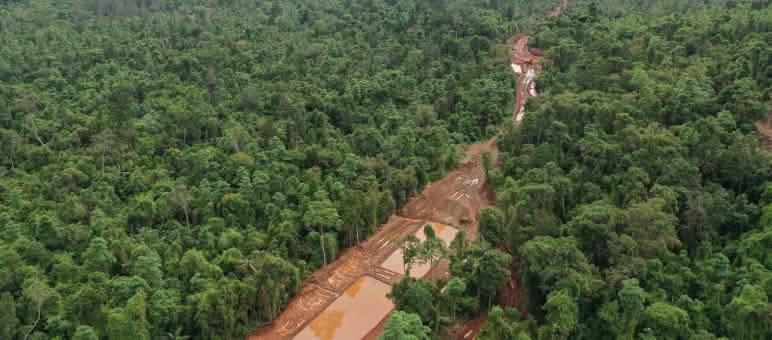 Une bande de terre brune parsemée de bassins de résidus s’étend à travers une forêt tropicale dense