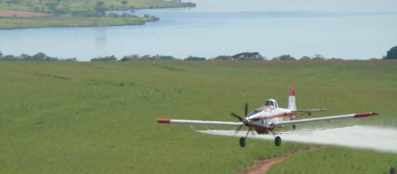 Un avion pulvérise des pesticides.