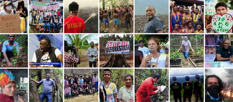 Collage des partenaires de Sauvons la forêt (Rettet den Regenwald e.V.)