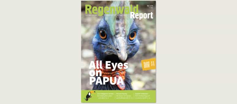 Couverture du bulletin Regenwald Report numéro 1/25