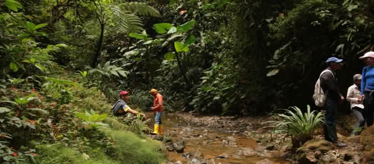 Personnes au bord d’un ruisseau dans la forêt tropicale de nuages