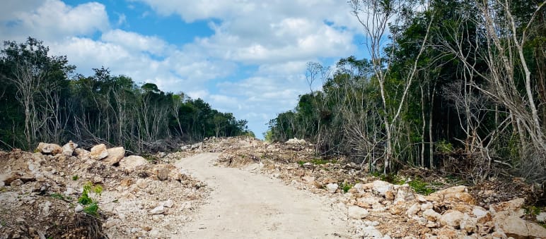 Déforestation causée par la construction du "Train Maya" Chantier du "Train Maya" avec un couloir perforant la forêt tropicale