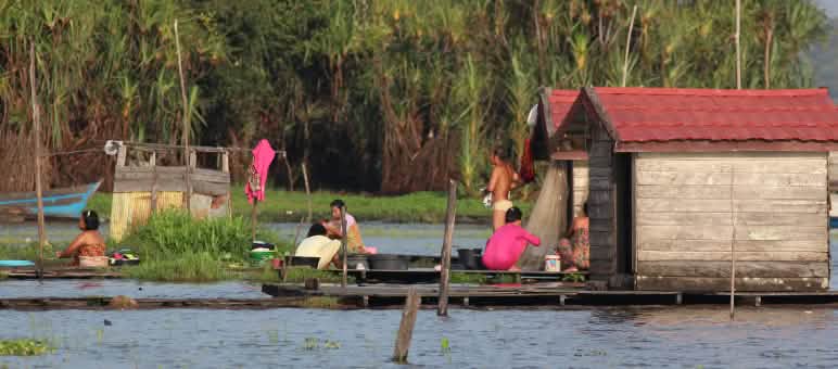 Il est impossible de pêcher, car Sinar Mas a pollué le fleuve Sembuluh sur l’île de Bornéo La vie sur les rives du lac Sembuluh – des femmes lavent du linge, accroupies sur des passerelles