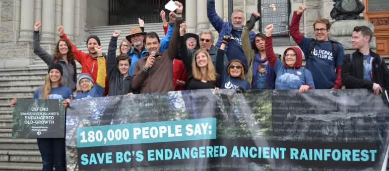 Les activistes ont remis une pétition de 180.000 signatures contre le déboisement sur l’île de Vancouver Les activistes ont remis une pétition de 180.000 signatures contre le déboisement sur l’île de Vancouver
