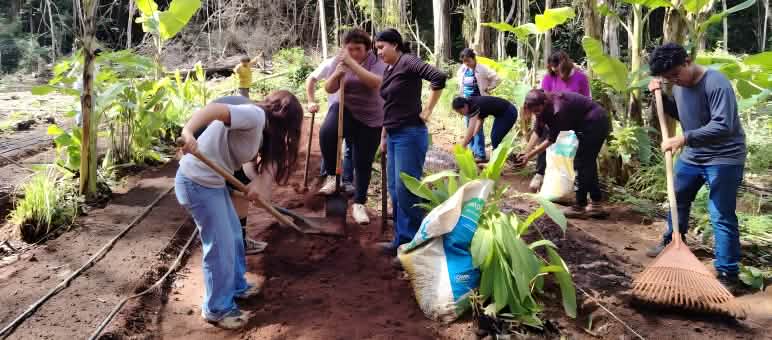 Un groupe de personnes prépare le sol dans la forêt tropicale en vue de planter des arbres fruitiers
