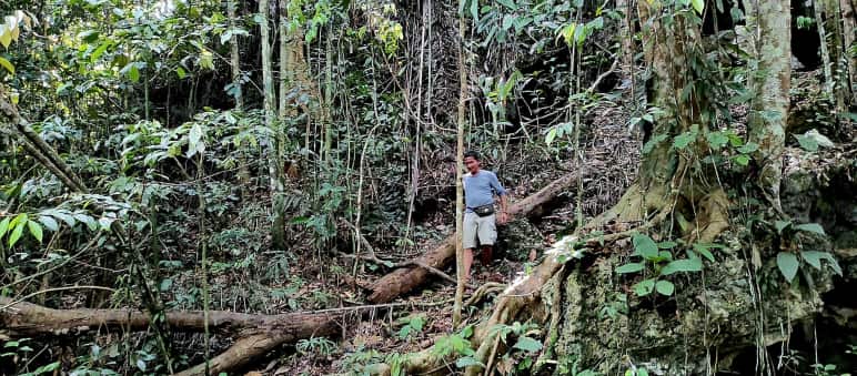 Homme dans la forêt