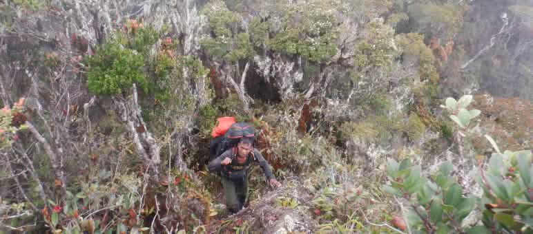 Garde forestier avec sac à dos sur un terrain difficilement praticable