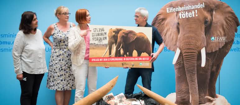 Remise de la pétition au ministère de l’environnement à Berlin Remise de la pétition contre le commerce de l’ivoire au ministère de l’environnement de la République fédérale d’Allemagne