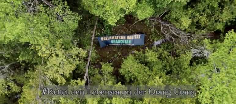 Photo prise par un drone. Dans une forêt, une bannière apparaît avec l’inscription « Sauvez l’habitat des orangs-outans »