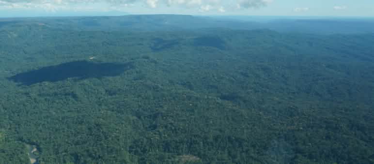 L’Équateur restitue 251 503 ha de forêt amazonienne aux Sápara Vue aérienne d’un petit avion survolant la forêt du peuple indigène Sápara en Amazonie équatorienne