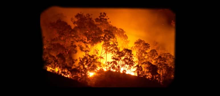 Montage : un incendie de forêt dans une cheminée