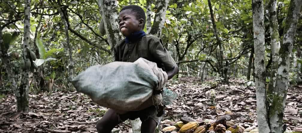 Un dollar par jour, littéralement Un enfant souffre en portant un lourd sac de cacao dans une plantation