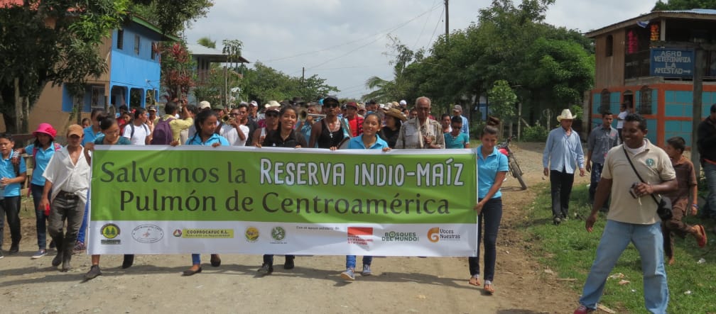 Manifestation pour la sauvegarde de la réserve biologique Indio-Maiz au Nicaragua