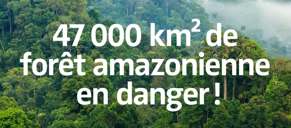 47.000 km² de forêt amazonienne en danger