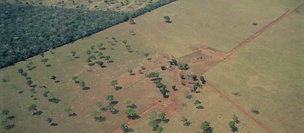 À ce jour le Brésil perd déjà 1,65 millions d'hectares de forêt par an