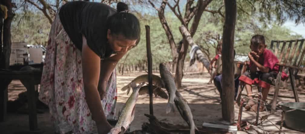 Une femme indigène se prépare à faire griller des poissons au sol sous la cime des arbres, sous le regard d’un enfant.