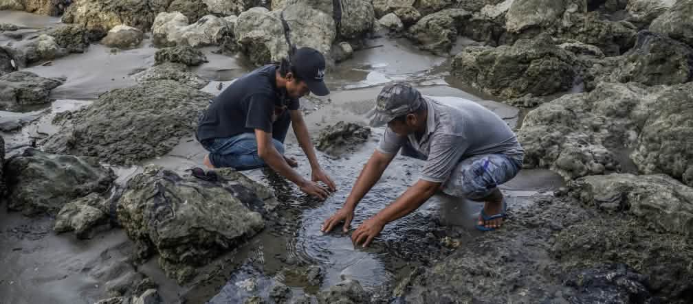 Deux hommes montrent des morceaux de bitume toxique sur une côte polluée