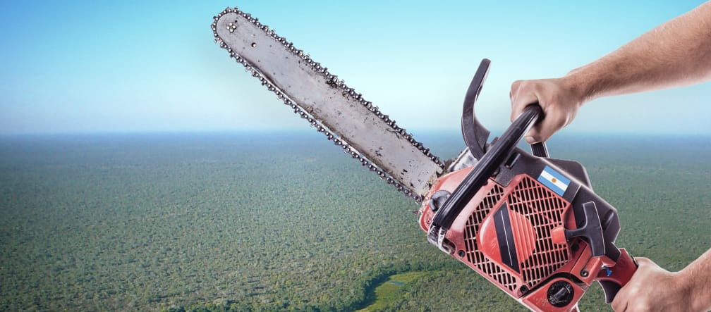 Photomontage : Chaco Argentine