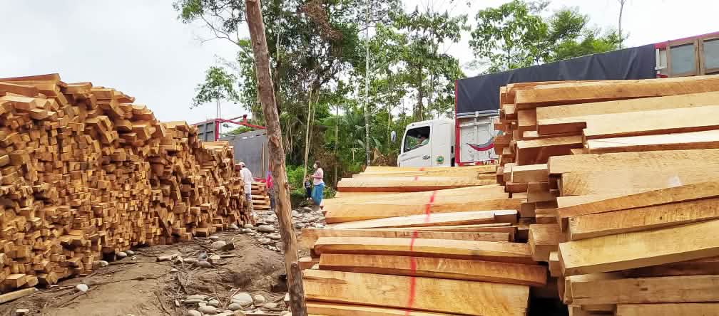 Bois de balsa empilé
