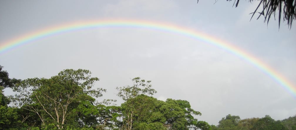 Arc-en-ciel au dessus de la Réserve biologique Indio Maíz au Nicaragua