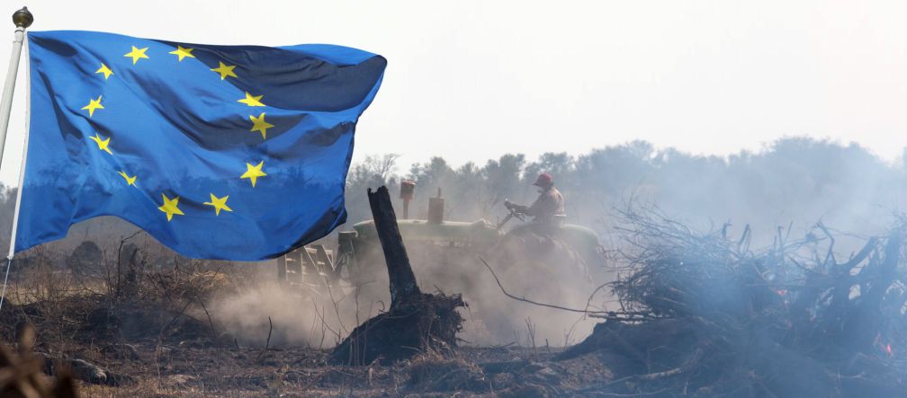 Photomontage : un drapeau de l'Union européenne flotte devant une surface de défrichement brûlée dans la forêt vierge
