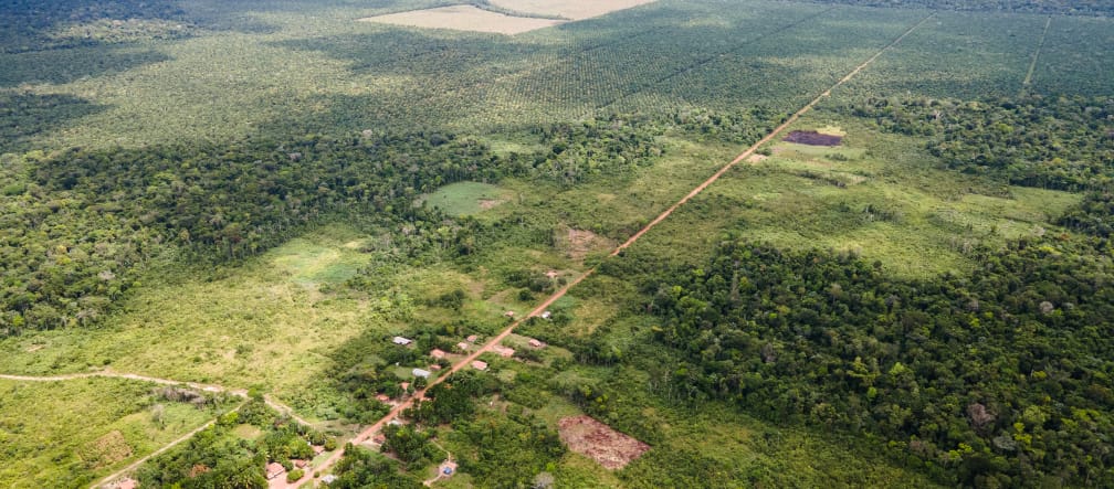 Vue aérienne d’une petite localité le long d’une piste rectiligne, avec derrière les plantations de palmiers à huile taillées dans la forêt tropicale