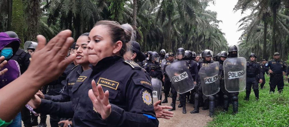 Un groupe d’intervention de policiers, portant casques de protection et boucliers, avance sur une piste dans une plantation de palmiers à huile