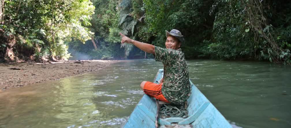 Les Autochtones Iban se mobilisent pour la protection de leurs forêts et rivières Sur son petit bateau, un homme montre la forêt tropicale du Sarawak avec enthousiasme