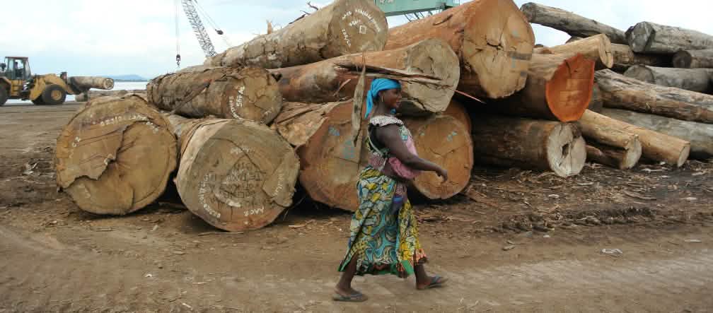 Tas de grumes dans le port de Kinshasa