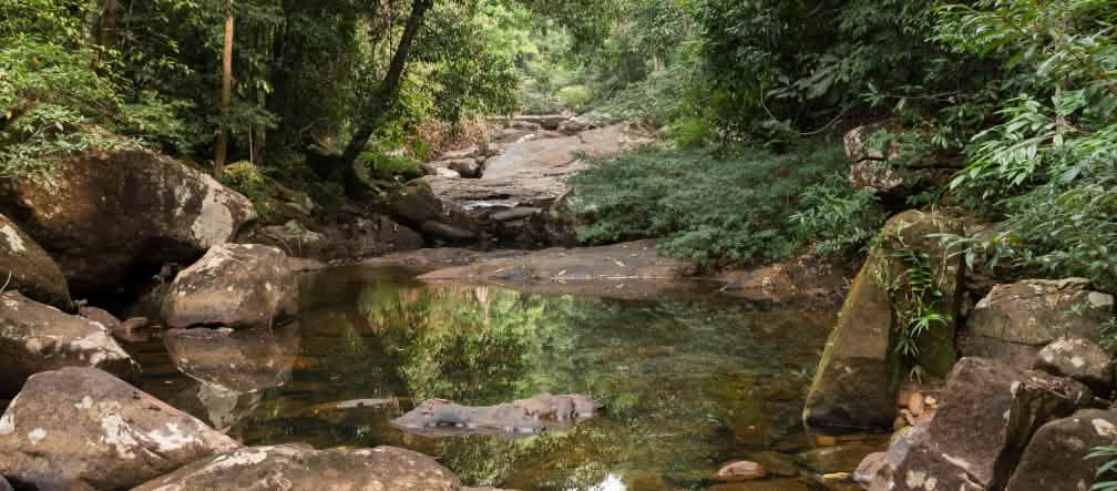 Cours d’eau bordé de blocs rocheux et entouré de forêt tropicale