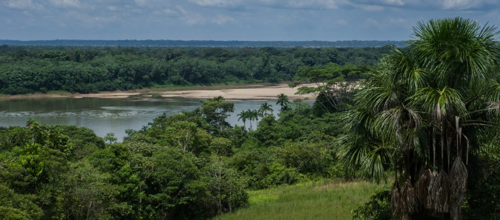 Igapo Project - Río Caquetá