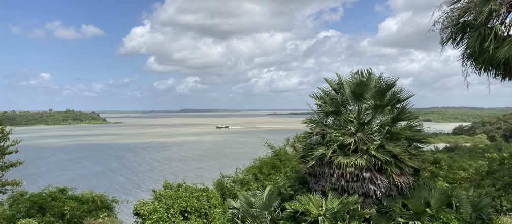 Vue sur les mangroves de la baie de São Marcos avec l’île de Cajual en arrière-plan.