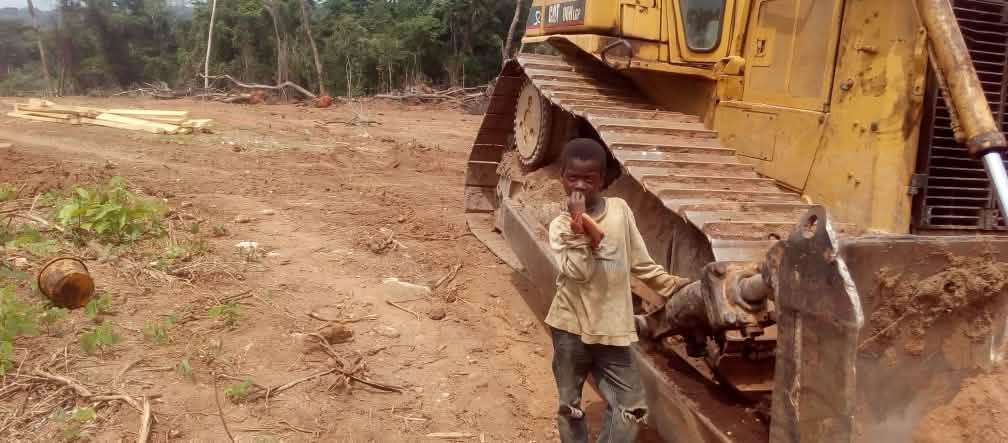 Un jeune garçon se tient à côté d'un bulldozer sur un terrain défriché dans la forêt tropicale