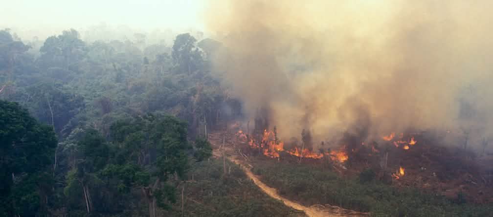 Feu en Amazonie