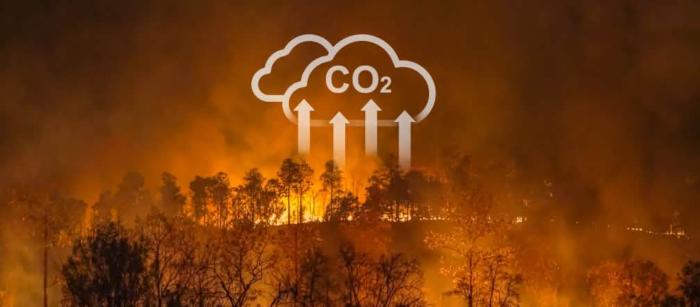 Les incendies de forêt et la culture sur brûlis contribuent à la crise climatique mondiale Les incendies de forêt et la culture sur brûlis contribuent à la crise climatique mondiale
