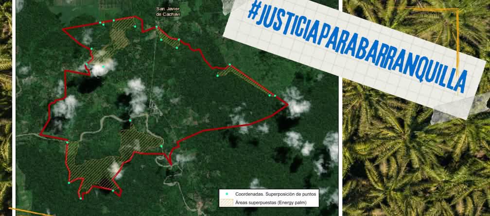 Empiètement des plantations de palmiers à huile  sur le territoire de la municipalité de San Javier de Barranquilla