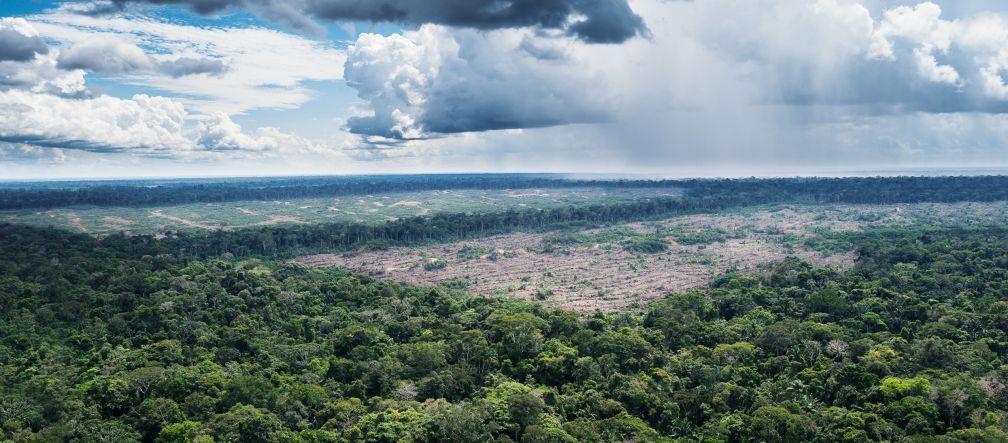 Les plantations industrielles menacent la forêt tropicale au Pérou Photo aérienne des forêts vierges à proximité du village de Tamshiyacu au Pérou