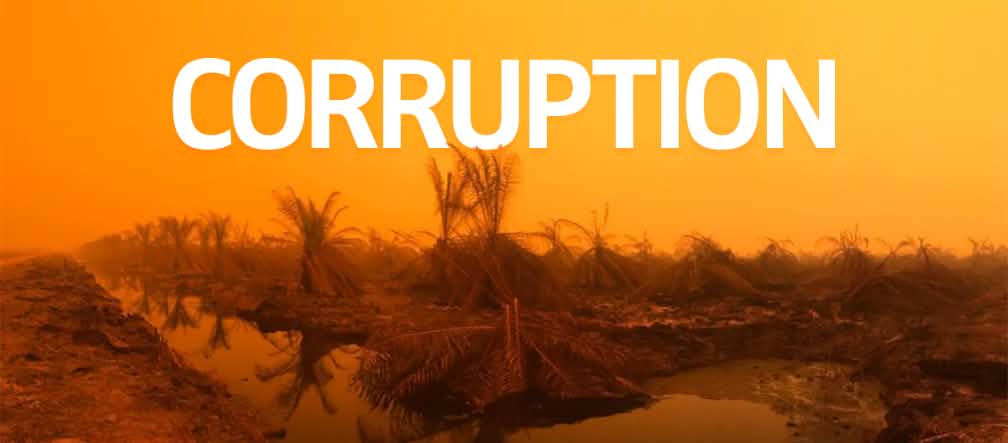 Incendies à Sumatra + texte CORRUPTION