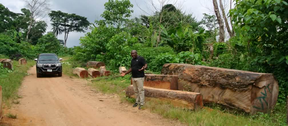 Un homme se tient au bord d’un chemin de terre devant un grand arbre abattu.