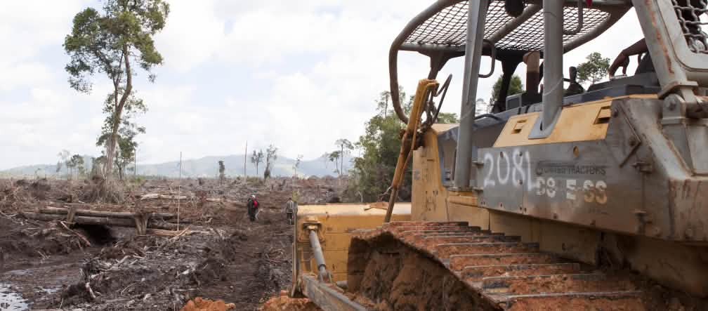 Offensive contre la forêt des orangs-outans à Bornéo Un bulldozer en train de défricher une forêt dans un paysage de dévastation