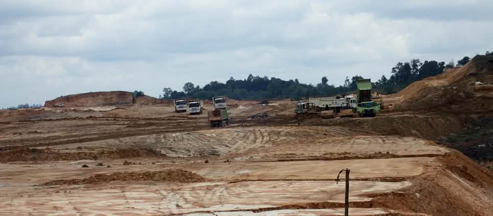 First Resources détruit la forêt des singes nasiques près de Balikpapan