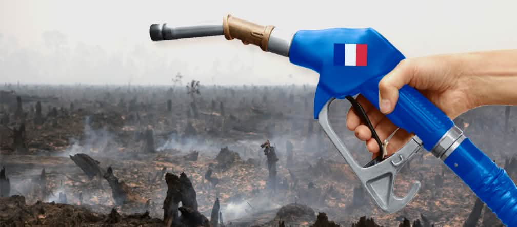 Faisons supprimer l'exonération fiscale dont bénéficie l'huile de palme en tant que biocarburant Photomontage : une pompe à essence aux couleurs de la France avant en arrière plan une forêt tropicale venant d'être incendiée pour la culture d'huile de palme
