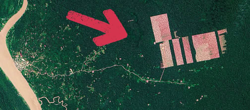 Les parcelles forestières concernées sont situées entre le village de Tamshiyacu (à gauche) et les zones déboisées indiquées par la flèche rouge(à droite) Image satellite attestant la déforestation près de Tamshiaycu au Pérou
