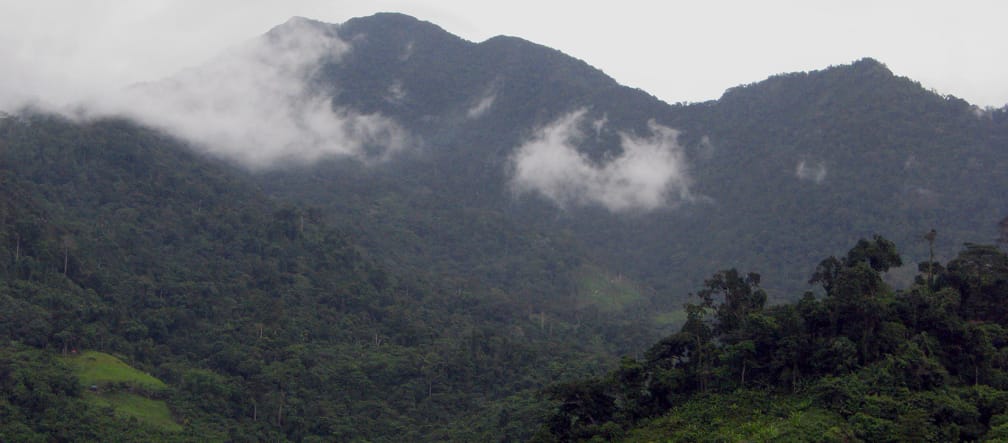 Paysage de montagne boisé à Palawan aux Philippines