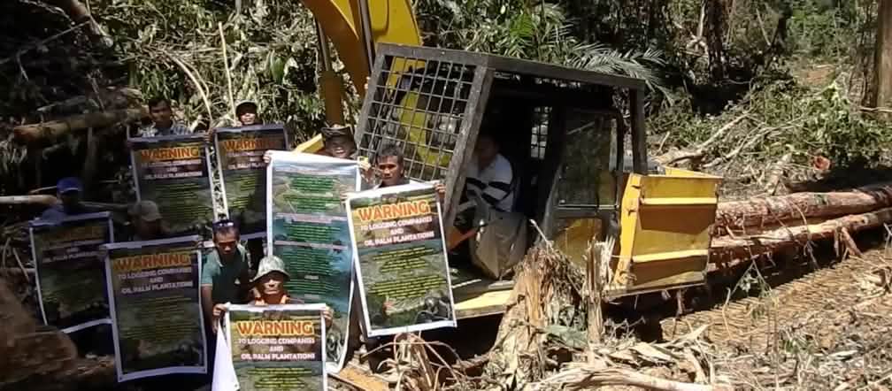 Défrichements préparatifs à la culture d’huile de palme dans l’état du Sarawak en Malaisie