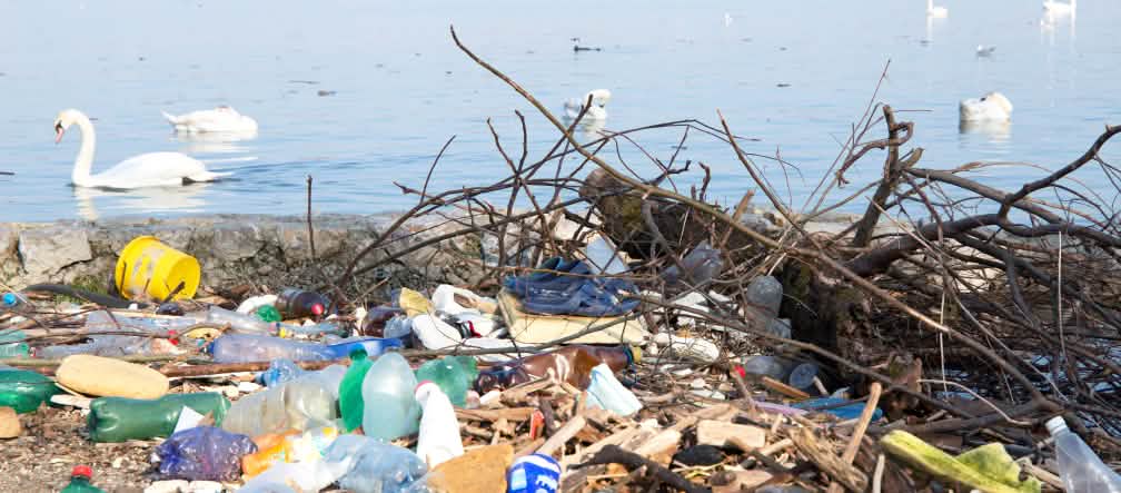 Le beau Danube bleu, ses paysages bucoliques, ses cygnes… et ses déchets plastiques Déchets en plastique au bord du Danube
