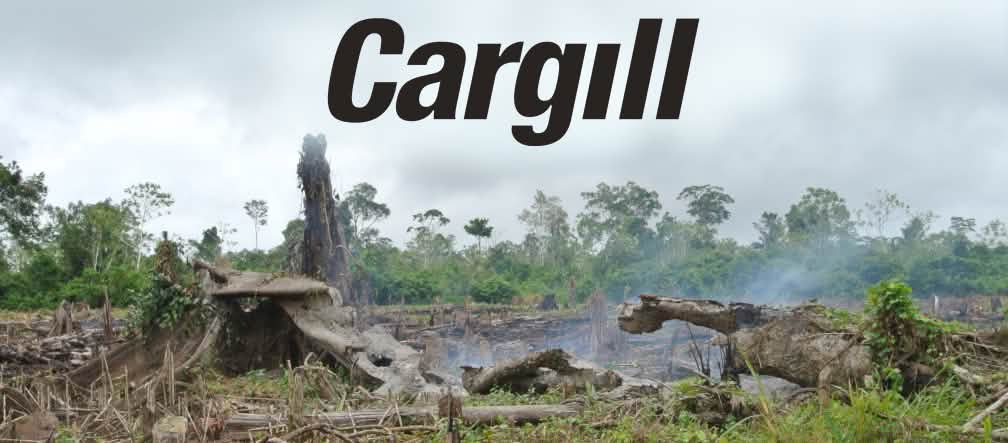 Des forêts sont incendiées en Amérique du Sud pour laisser place à l’agriculture industrielle Défrichement par brûlis + Logo Cargill